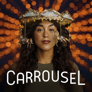 Carrousel van Vis à Vis