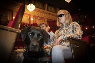 Komt_het_Zien_publiek_1_fotograaf_De_Filmbrigade