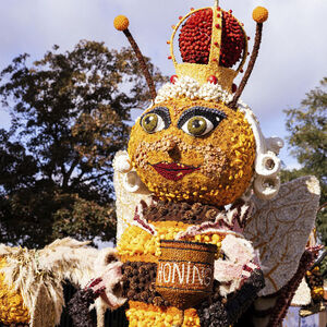 Fruitcorso Tiel