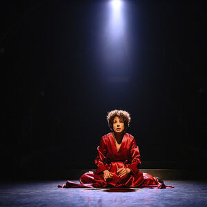 Piaf in een glimmende rode kamerjas, zittend op de grond.