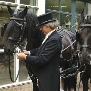 Een zwart paard wordt ingetuigd door een man met zwarte hoge hoed.