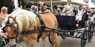 Een lichtbruin paard trekt een open koets met een vrouwelijke koetsier en enkele kinderen in Westfriese kledingdracht.