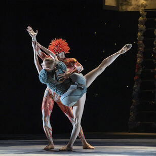Notenkraker Introdans