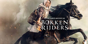 Een vrouw op een hard dravend paard met wapperende manen.