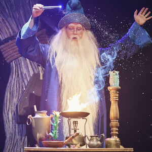 Tovenaar Kwark met een lange witte baard die bijna tot op de grond komt, tovert met zijn handen hoog in de lucht en een magisch toverstafje.