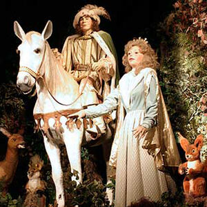 poppenshow met prinsesje Violinde en haar prins op het witte paard in het dierenbos
